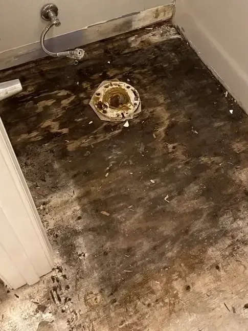 A stained bathroom floor with the toilet pulled and the drain flange exposed after a sewage backup